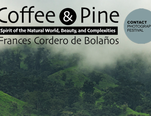 Frances Cordero de Bolaños: COFFEE & PINE